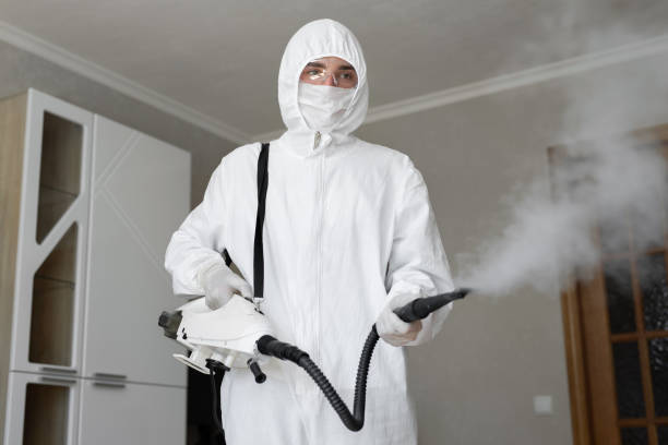 Trusted Penbrook, PA Mold Removal Experts